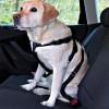 Trixie autós kutyahám - M méret: mellkas kerülete 50-70cm