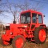 Mtz 80 as traktor eladó